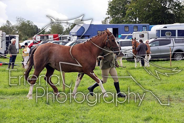 Carnwath2025Ring1416