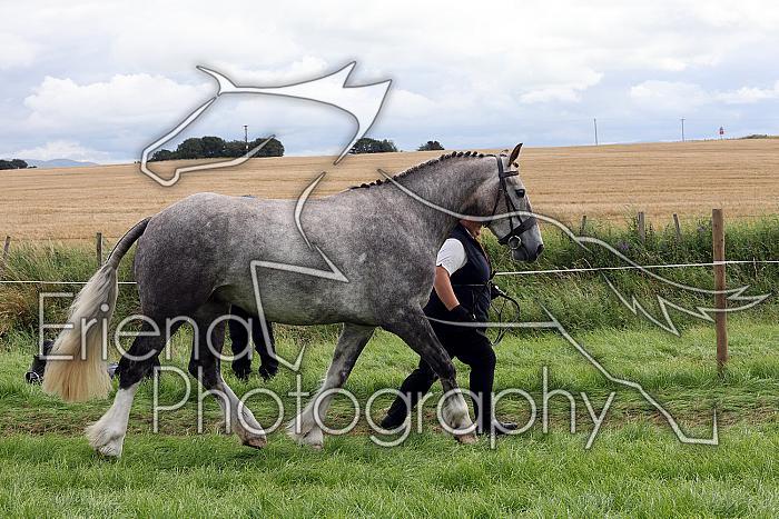 Carnwath2025Ring1418