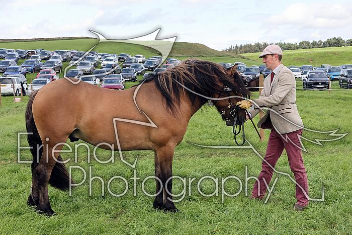 Carnwath2025Ring1422