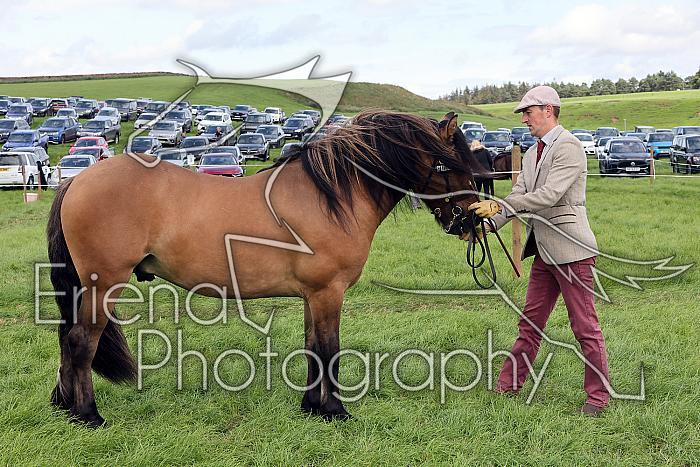 Carnwath2025Ring1423