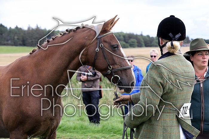 Carnwath2025Ring1425