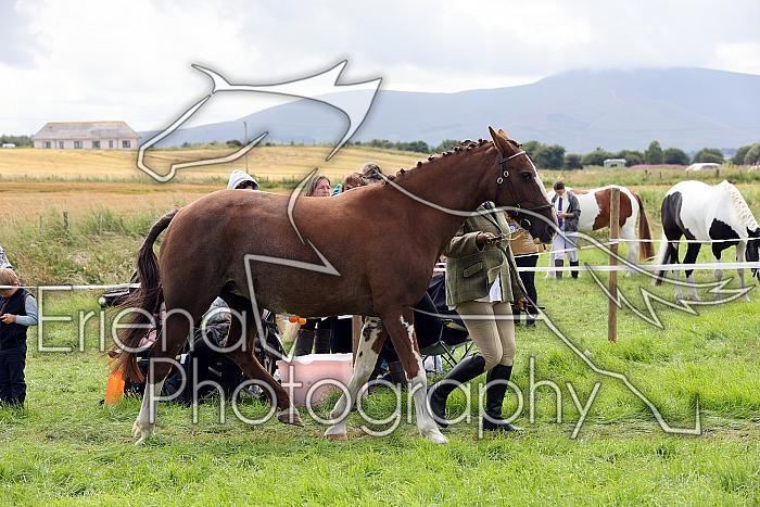 Carnwath2025Ring1429