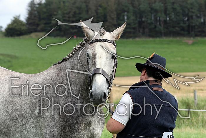 Carnwath2025Ring1430