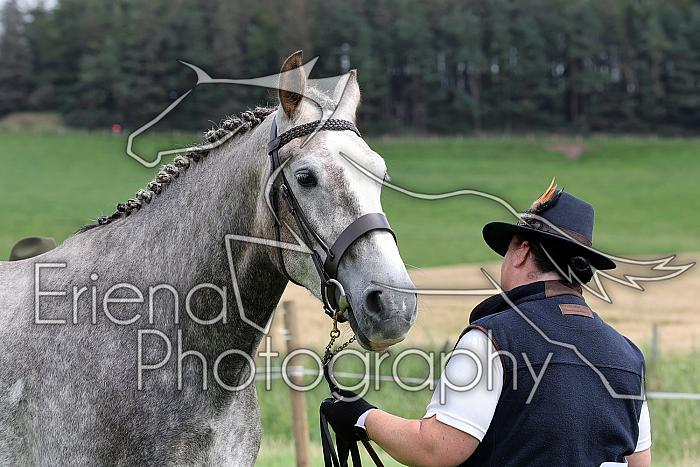 Carnwath2025Ring1432