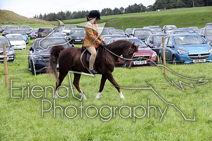 Carnwath2025Ring1441