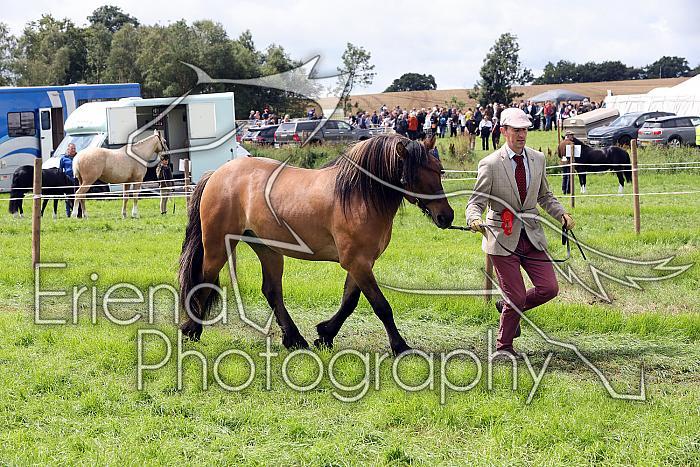 Carnwath2025Ring1444