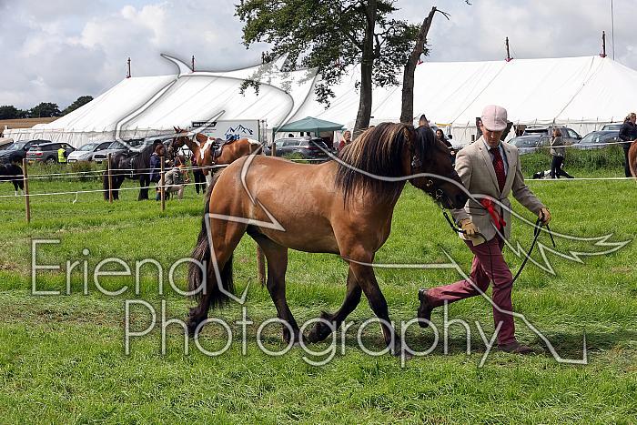 Carnwath2025Ring1446