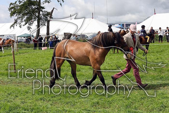 Carnwath2025Ring1447