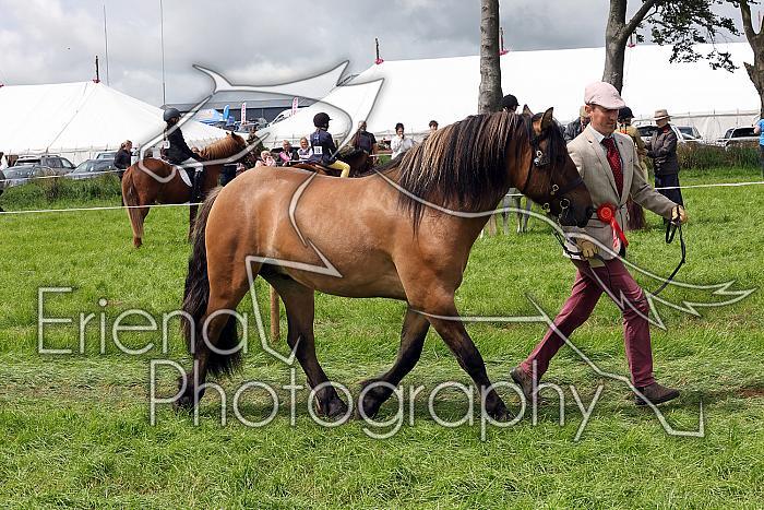 Carnwath2025Ring1448
