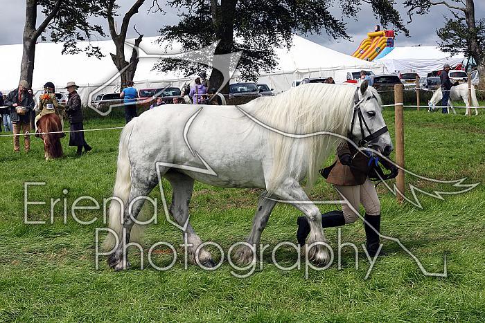 Carnwath2025Ring1450