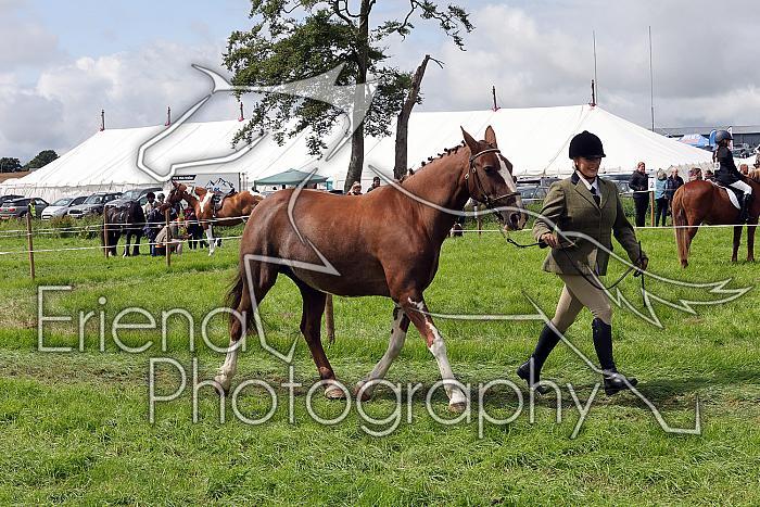 Carnwath2025Ring1453