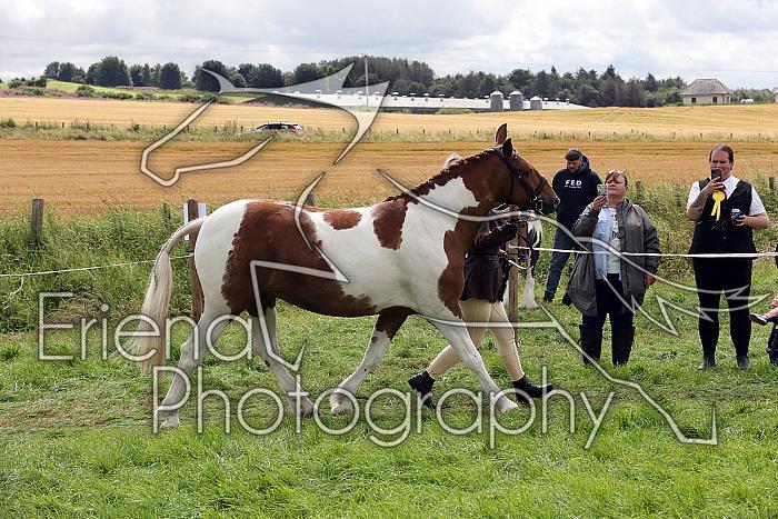 Carnwath2025Ring1455