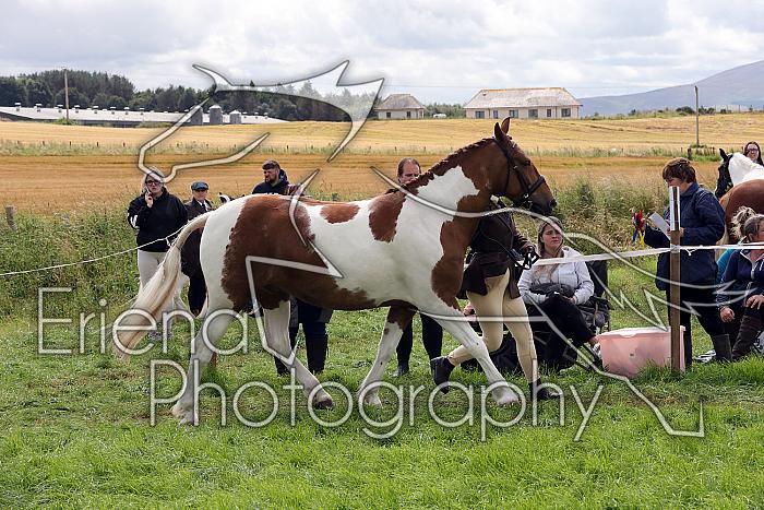Carnwath2025Ring1456