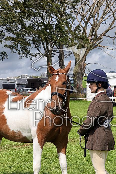 Carnwath2025Ring1458