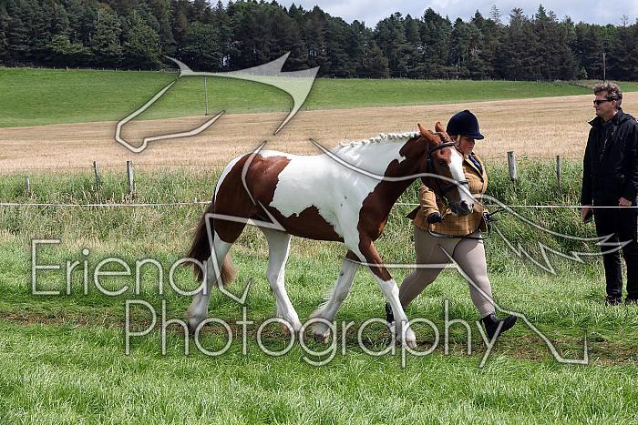 Carnwath2025Ring1464