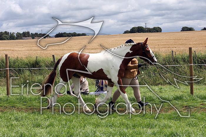 Carnwath2025Ring1467