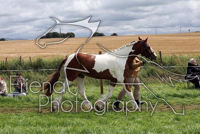 Carnwath2025Ring1468