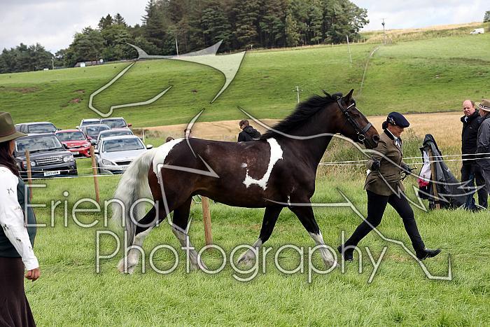 Carnwath2025Ring1469