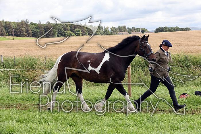 Carnwath2025Ring1471