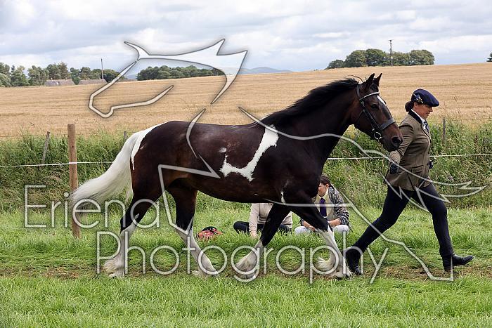 Carnwath2025Ring1472