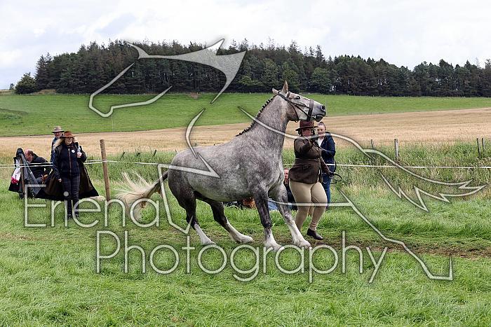 Carnwath2025Ring1475