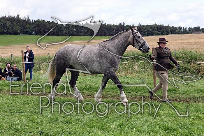Carnwath2025Ring1476