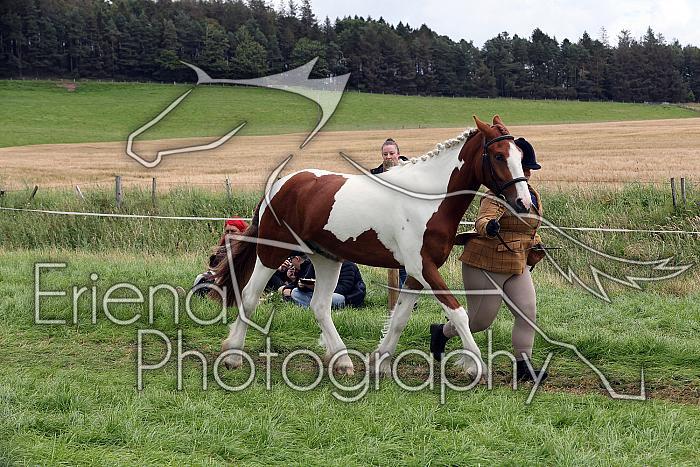 Carnwath2025Ring1481
