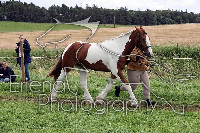 Carnwath2025Ring1482