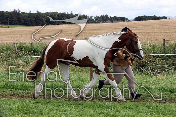 Carnwath2025Ring1483