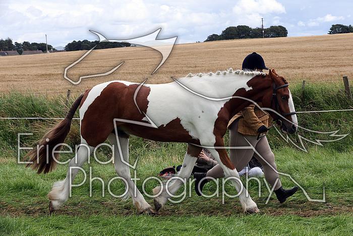 Carnwath2025Ring1484