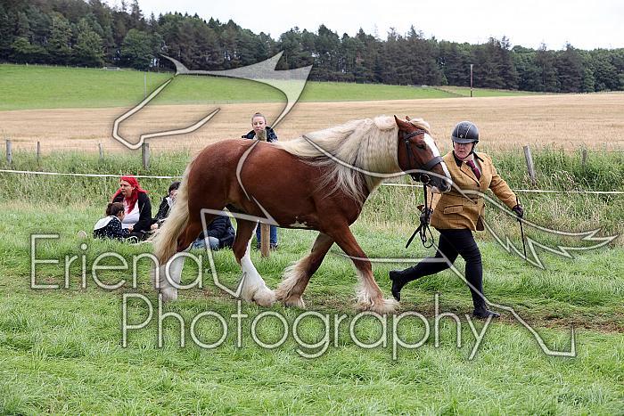 Carnwath2025Ring1485