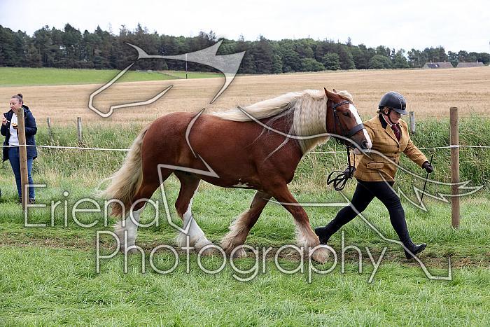 Carnwath2025Ring1486