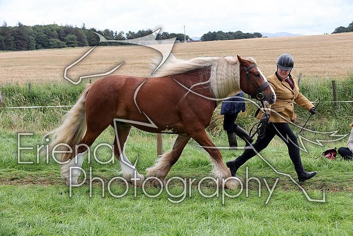 Carnwath2025Ring1487