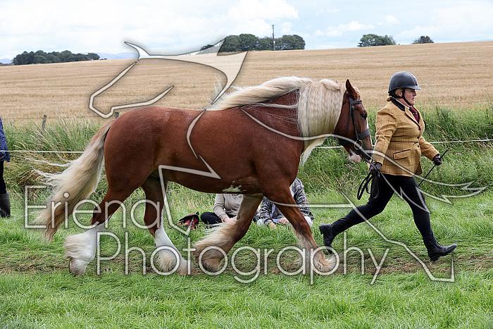 Carnwath2025Ring1488