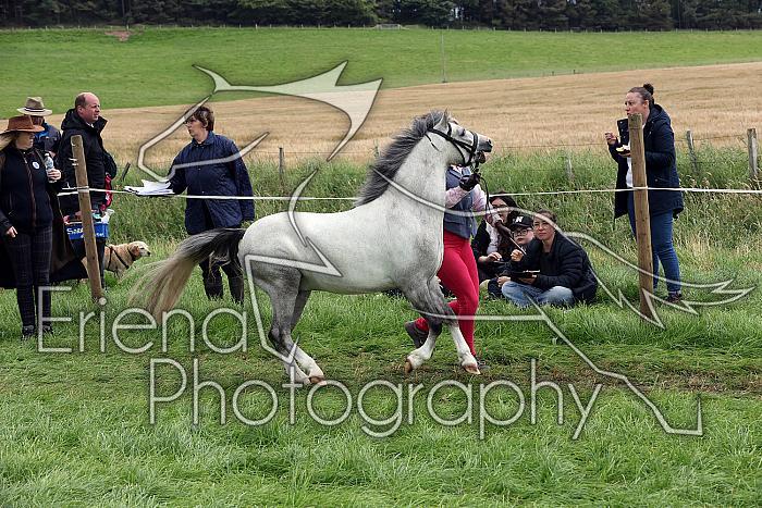 Carnwath2025Ring1489
