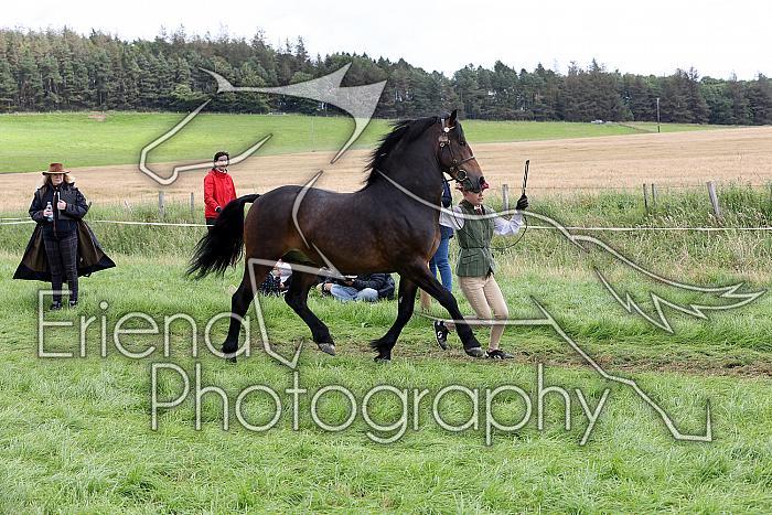 Carnwath2025Ring1491