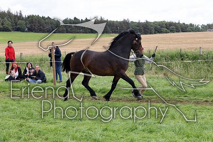 Carnwath2025Ring1492