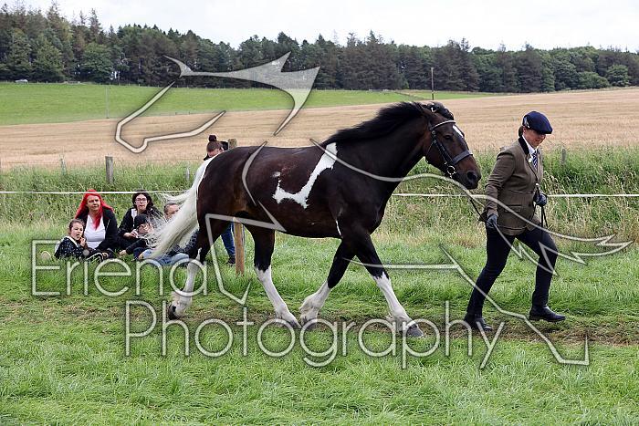 Carnwath2025Ring1496