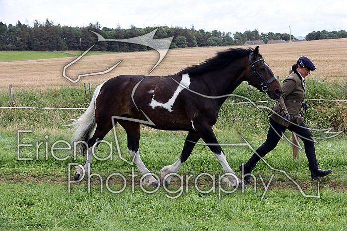 Carnwath2025Ring1497