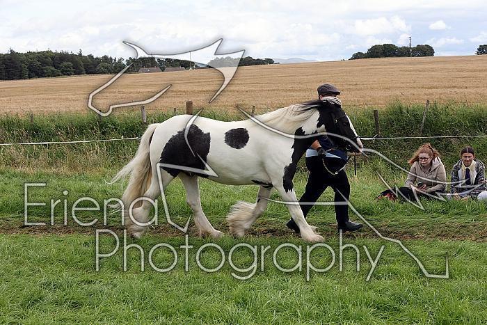 Carnwath2025Ring1501