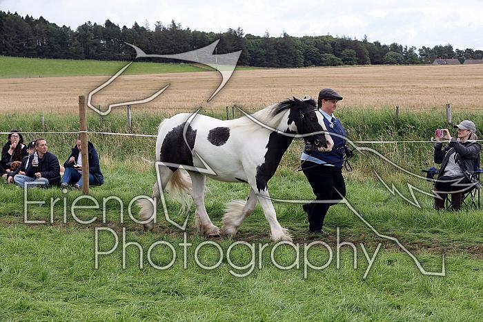 Carnwath2025Ring1502