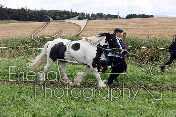 Carnwath2025Ring1503