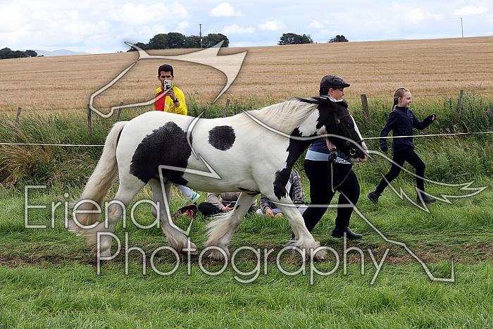 Carnwath2025Ring1505