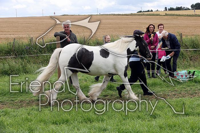 Carnwath2025Ring1507