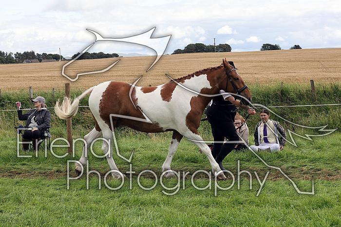 Carnwath2025Ring1508