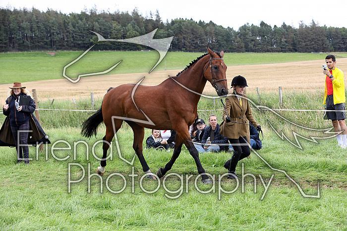 Carnwath2025Ring1509