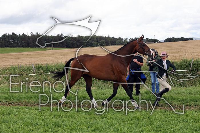 Carnwath2025Ring1516
