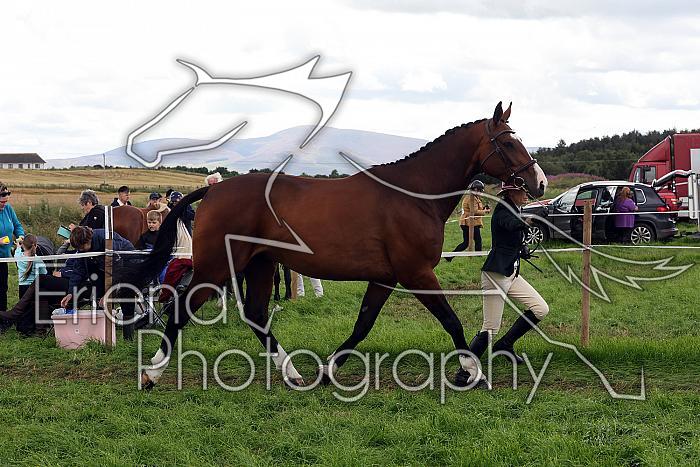 Carnwath2025Ring1520