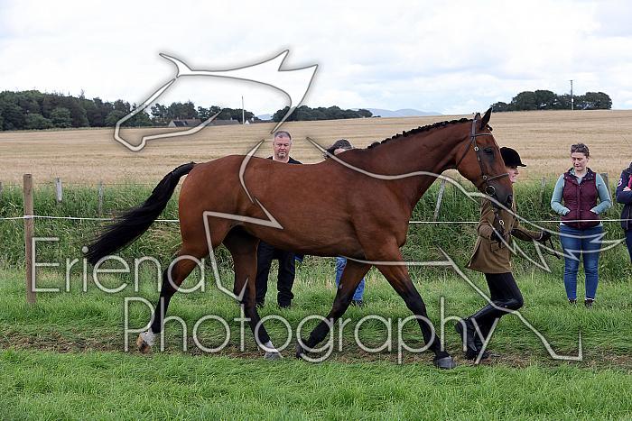 Carnwath2025Ring1523