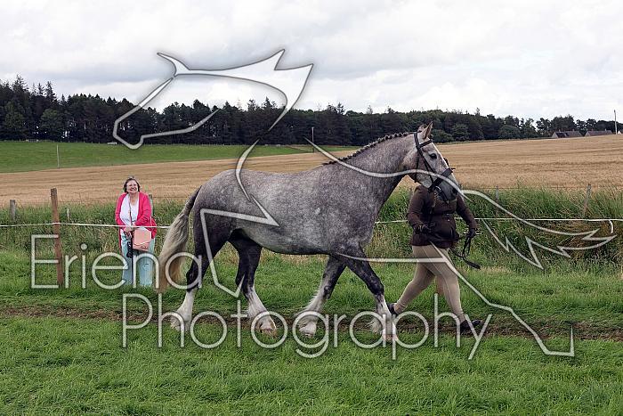 Carnwath2025Ring1526